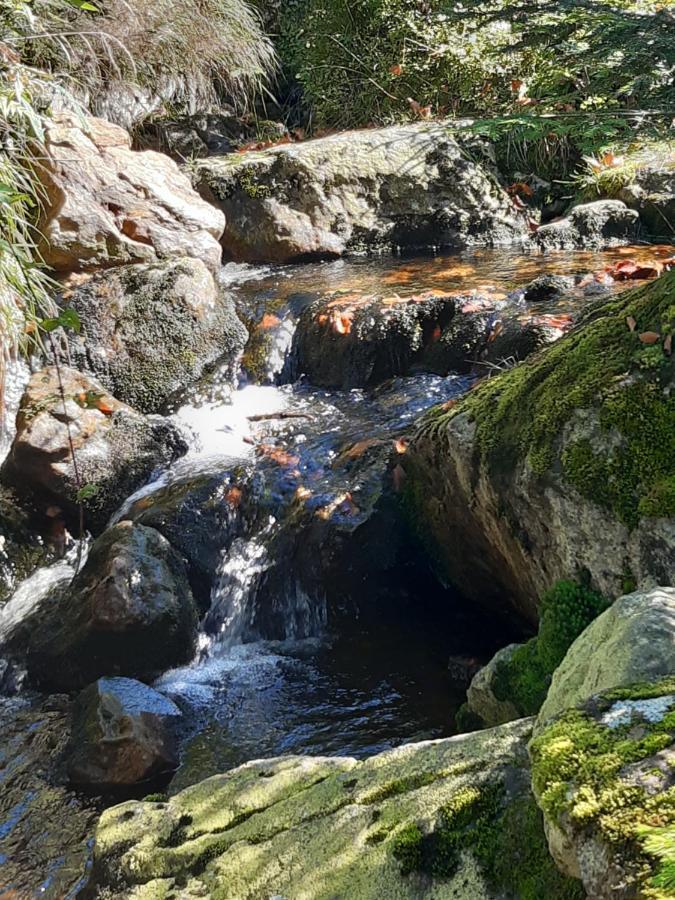 Anno - Wohlfuehlen Am Bachal In Altschoenau Нойшенау Екстер'єр фото
